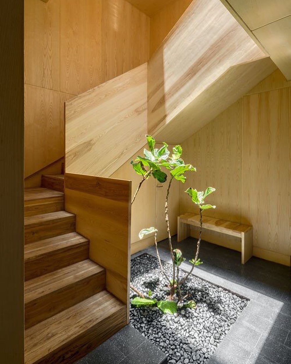 8 ide membuat taman kecil di sudut rumah minimalis